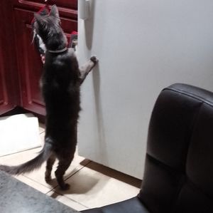 Meet your Posher, Axsia